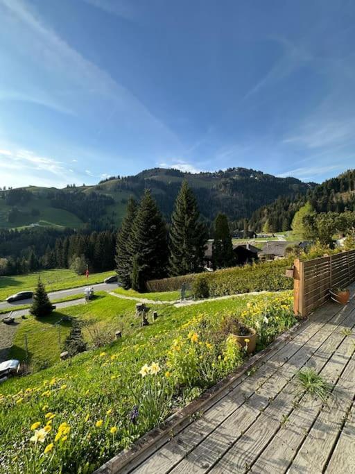 Chalet Du Moleson Грюєр Екстер'єр фото